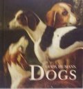 Gods, Humans, Dogs