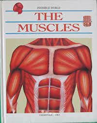 Muscles (Invisible World)