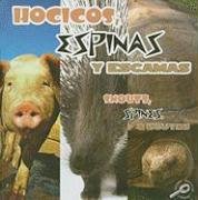 Hocicos, Espinas y Escamas/Snouts, Spines, and Scutes (Que Tienen Los Animales, Bilingual/What Animals Wear) (Spanish an