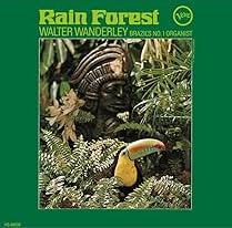 Rain Forest