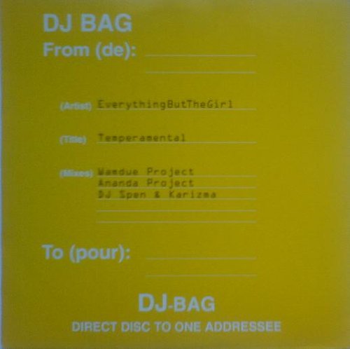 Temperamental (Remixed By Ananda Project Mix) (LP Single)