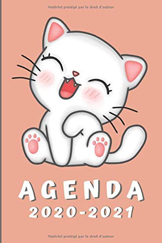 Agenda 2020 2021: Agenda Scolaire 2020 2021 college | Agenda semainier | Emploi du temps | Calendrier | Agenda Scolaire