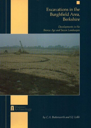 Excavations in the Burghfield Area, Berkshire