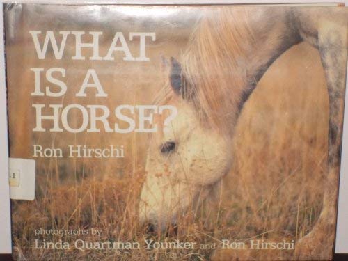 What Is a Horse?