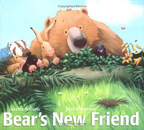 Bear's New Friend