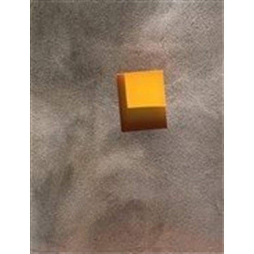 Sarkis | Sari Punctum