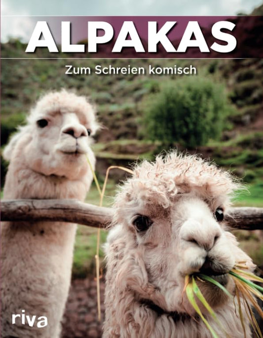 Alpakas: Zum Schreien komisch. Bildband. (German Edition)