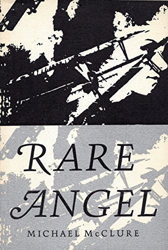 Rare angel (writ with raven's blood)