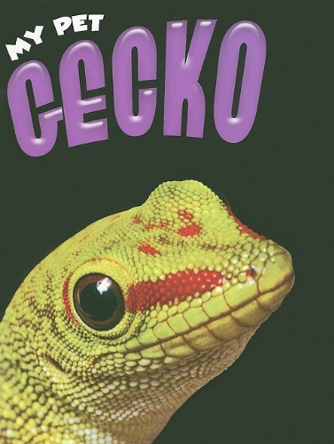 Gecko (My Pet)