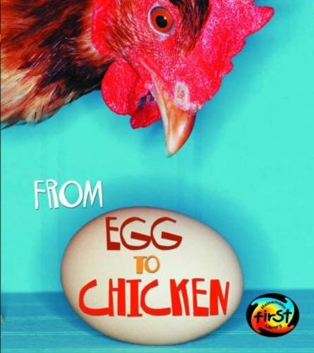 From Egg to Chicken (Space Explorer)