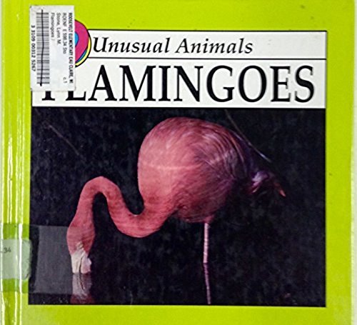 Flamingoes (Unusual Animals)