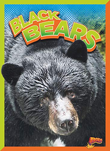 Black Bears (Wild Animal Kingdom)
