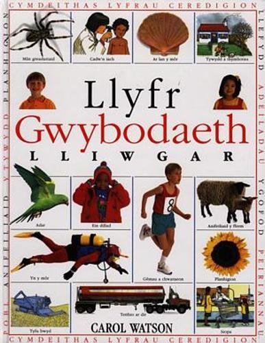 LLyfr Gwybodaeth Lliwgar (Welsh Edition)