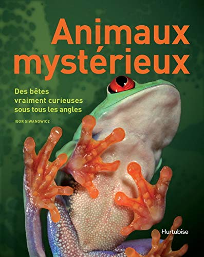 Animaux mystérieux