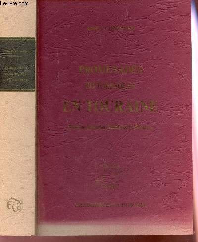 Promenades pittoresques en Touraine : Histoire, légendes, monuments, paysages