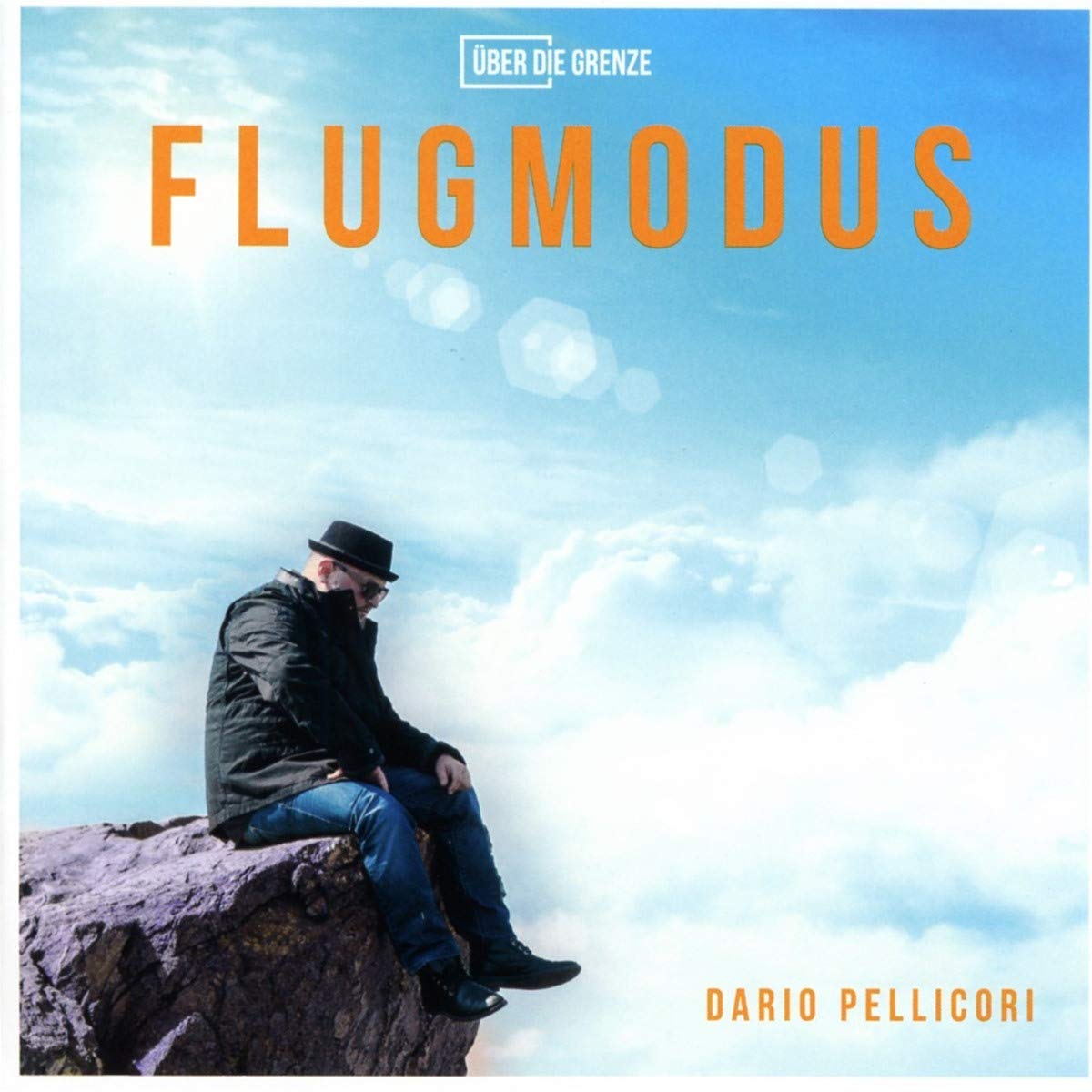 FLUGMODUS - DARIO PELLICORI