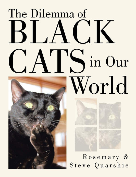The Dilemma of Black Cats in Our World