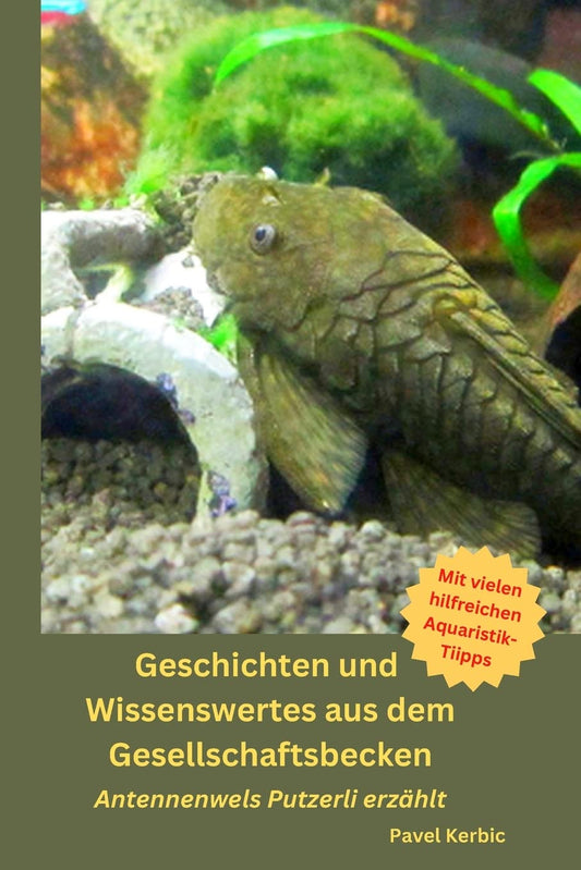 Geschichten und Wissenswertes aus dem Gesellschaftsbecken: Antennenwels Putzerli erzaehlt (German Edition)