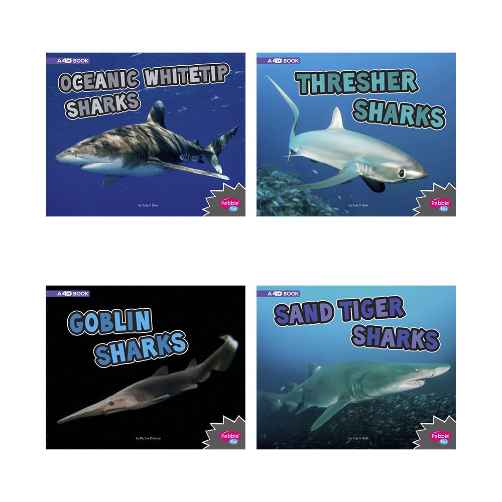 All about Sharks