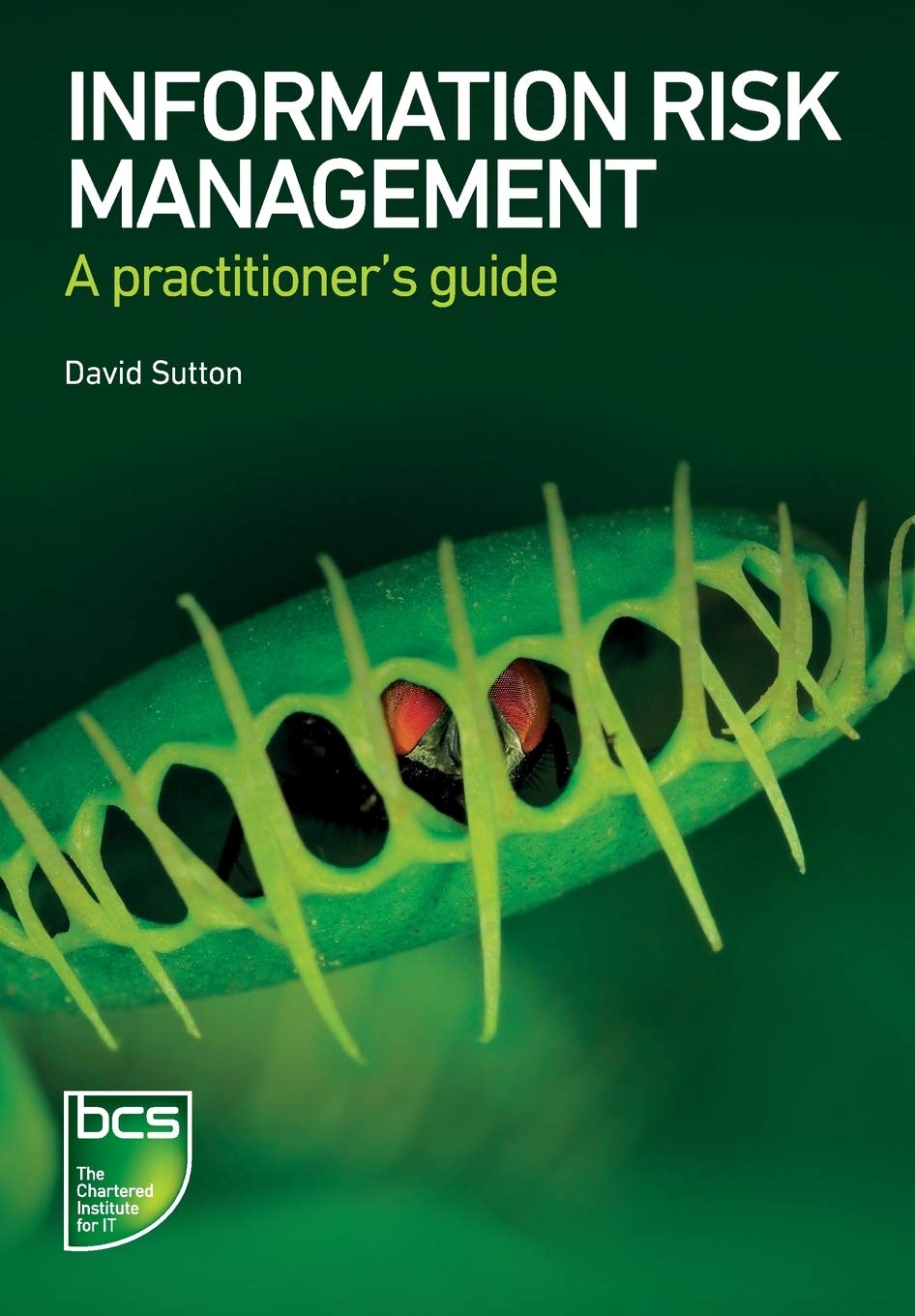 Information Risk Management: A practitioner's guide