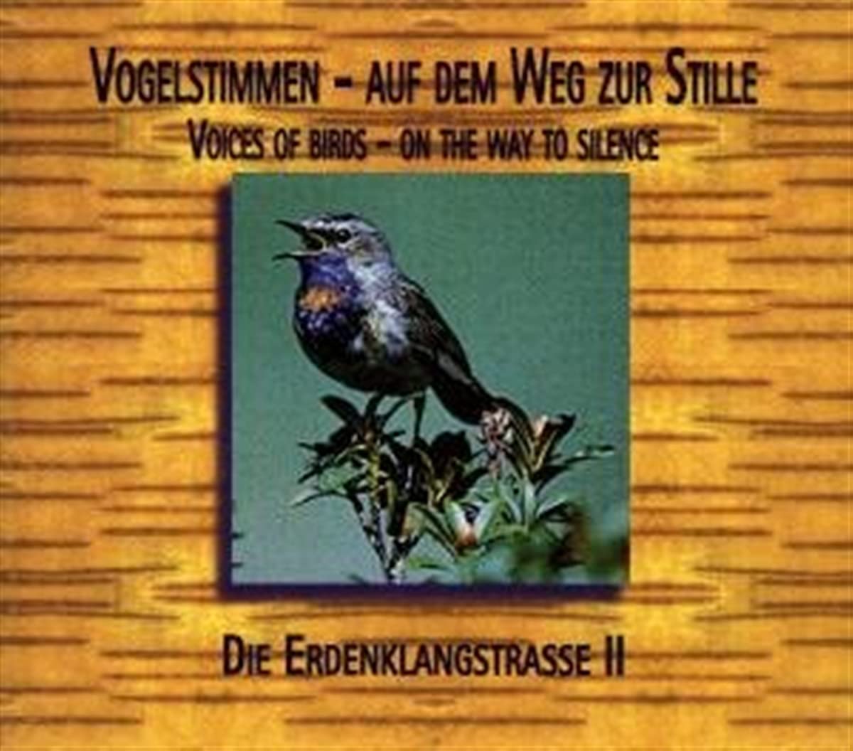 Musik Auf Dem Weg Zur Sti