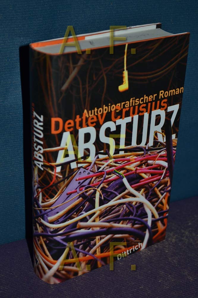 Absturz: Autobiografischer Roman