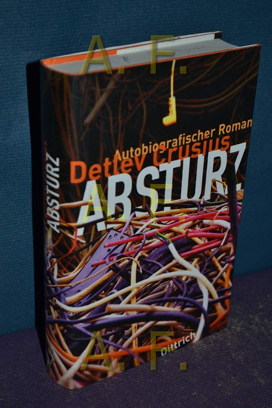 Absturz: Autobiografischer Roman