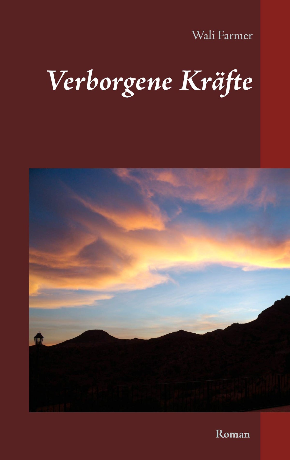 Verborgene Kräfte (German Edition)
