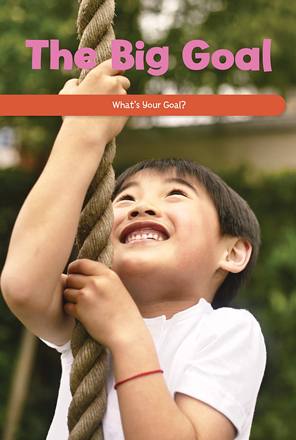 The Big Goal: What's Your Goal? (Social and Emotional Learning for the Real World)