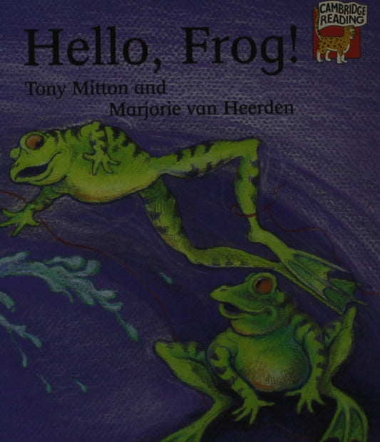 Beginning to Read: Patterned and Natural Language Strand Pack (Cambridge Reading)