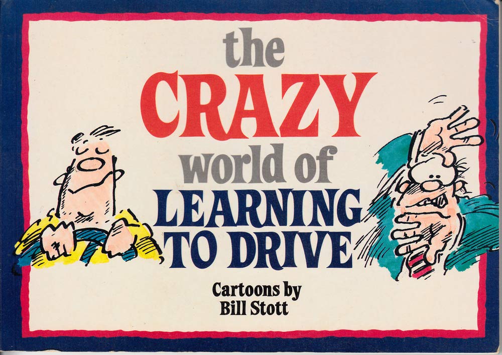 The Crazy World of Learning to Drive