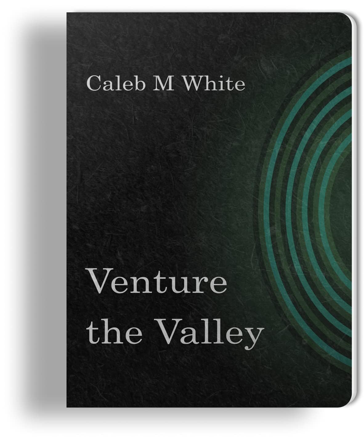 Venture the Valley