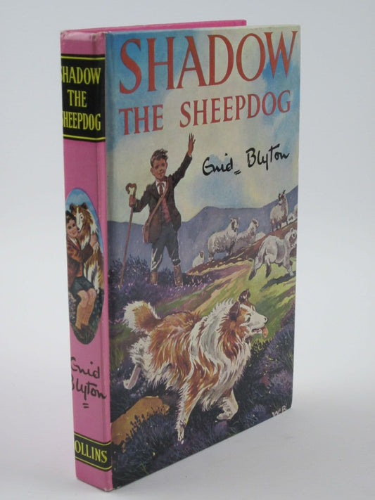 Shadow the Sheepdog