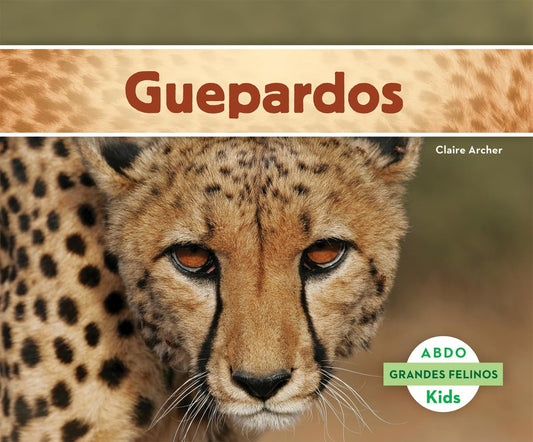 Guepardos (Cheetahs) (Grandes Felinos / Big Cats) (Spanish Edition)