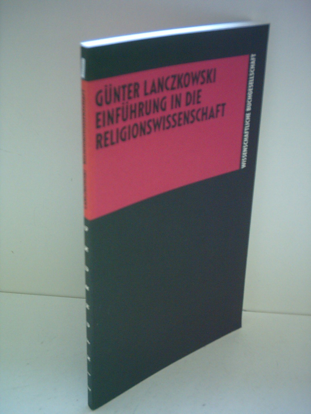 Einführung in die Religionswissenschaft (Die Theologie) (German Edition)