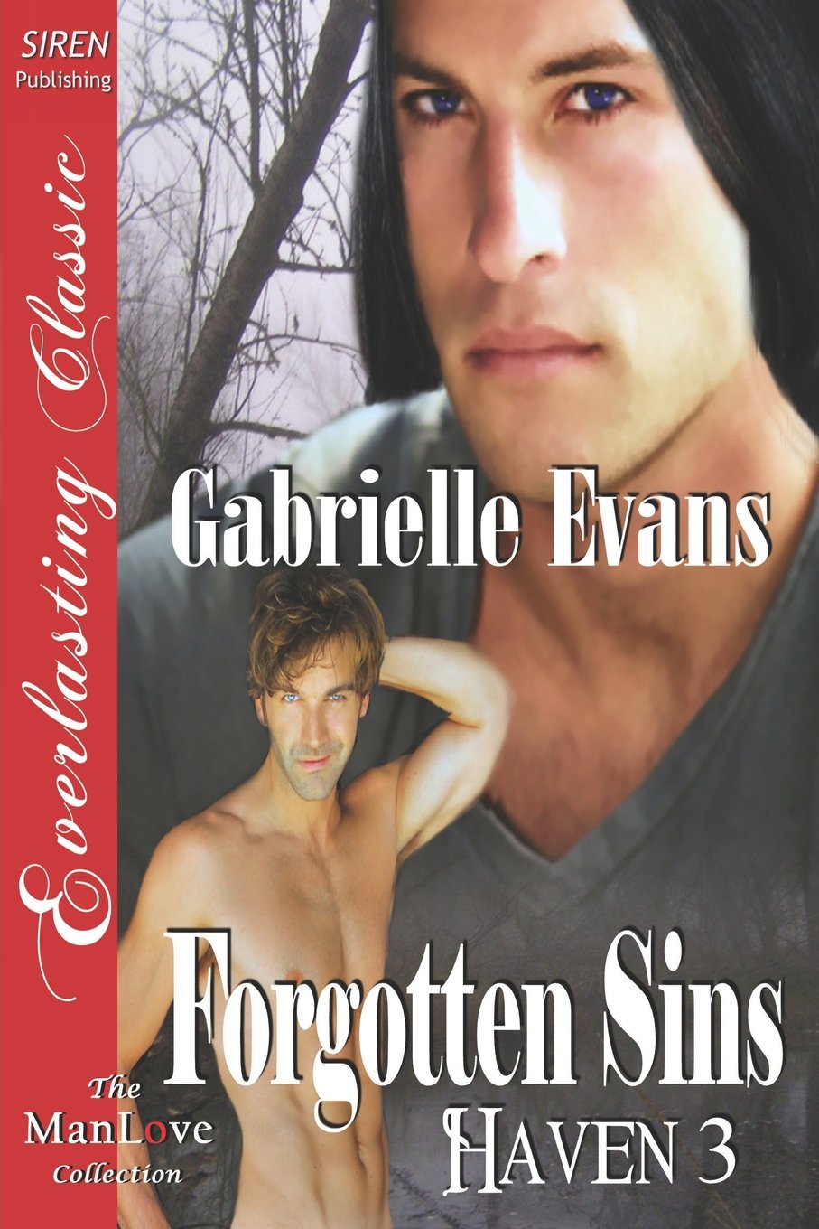 Forgotten Sins (Haven, 3)