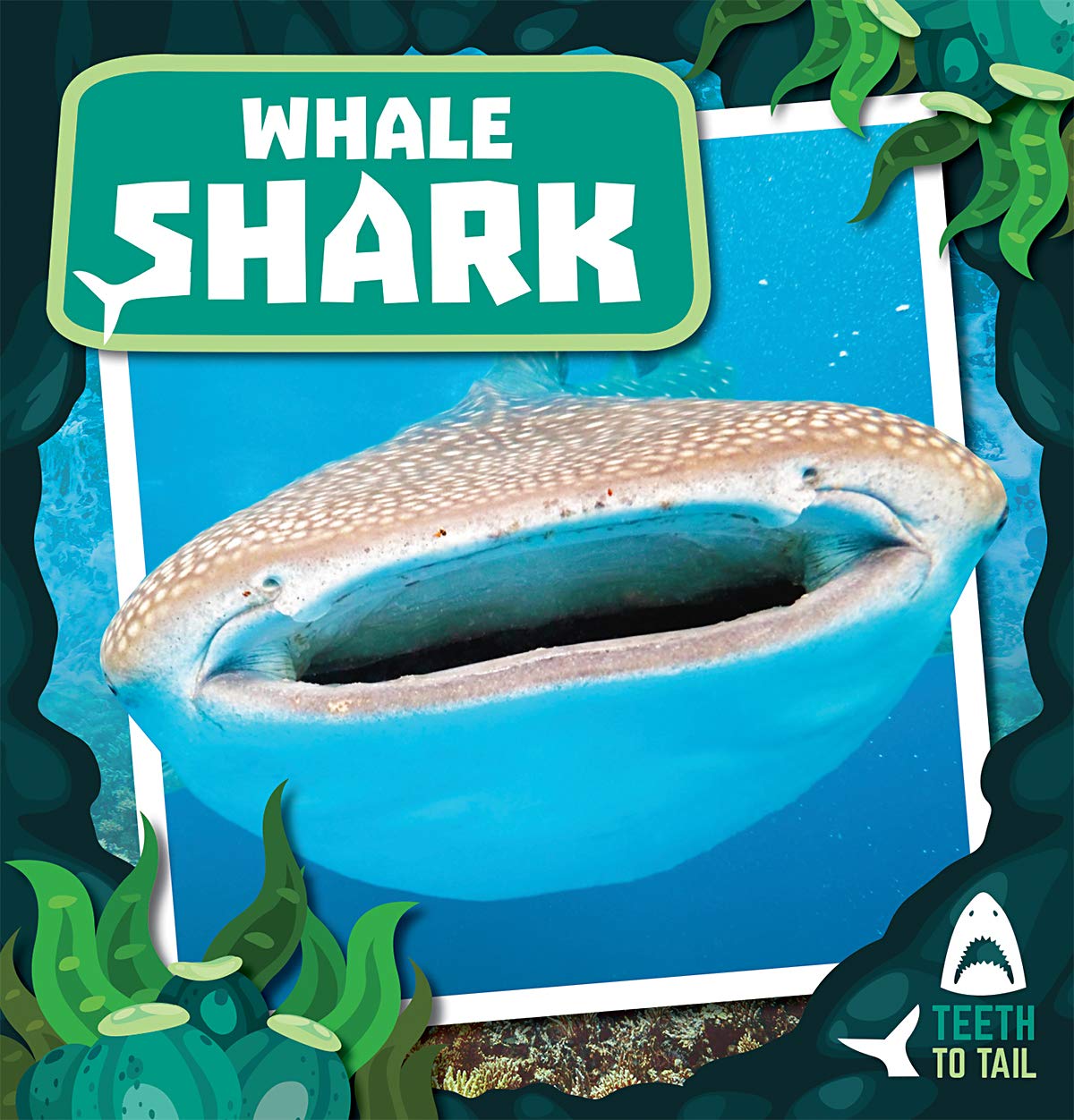 Whale Shark (Teeth to Tail)