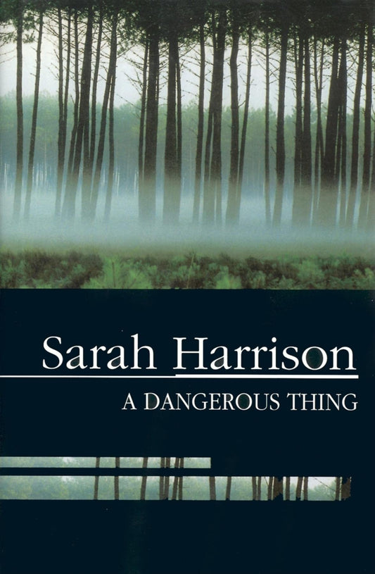 A Dangerous Thing (Severn House Large Print)