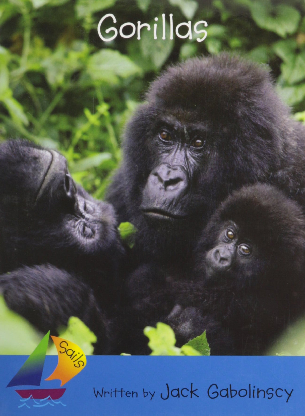 Gorillas (Sails, Early (3))