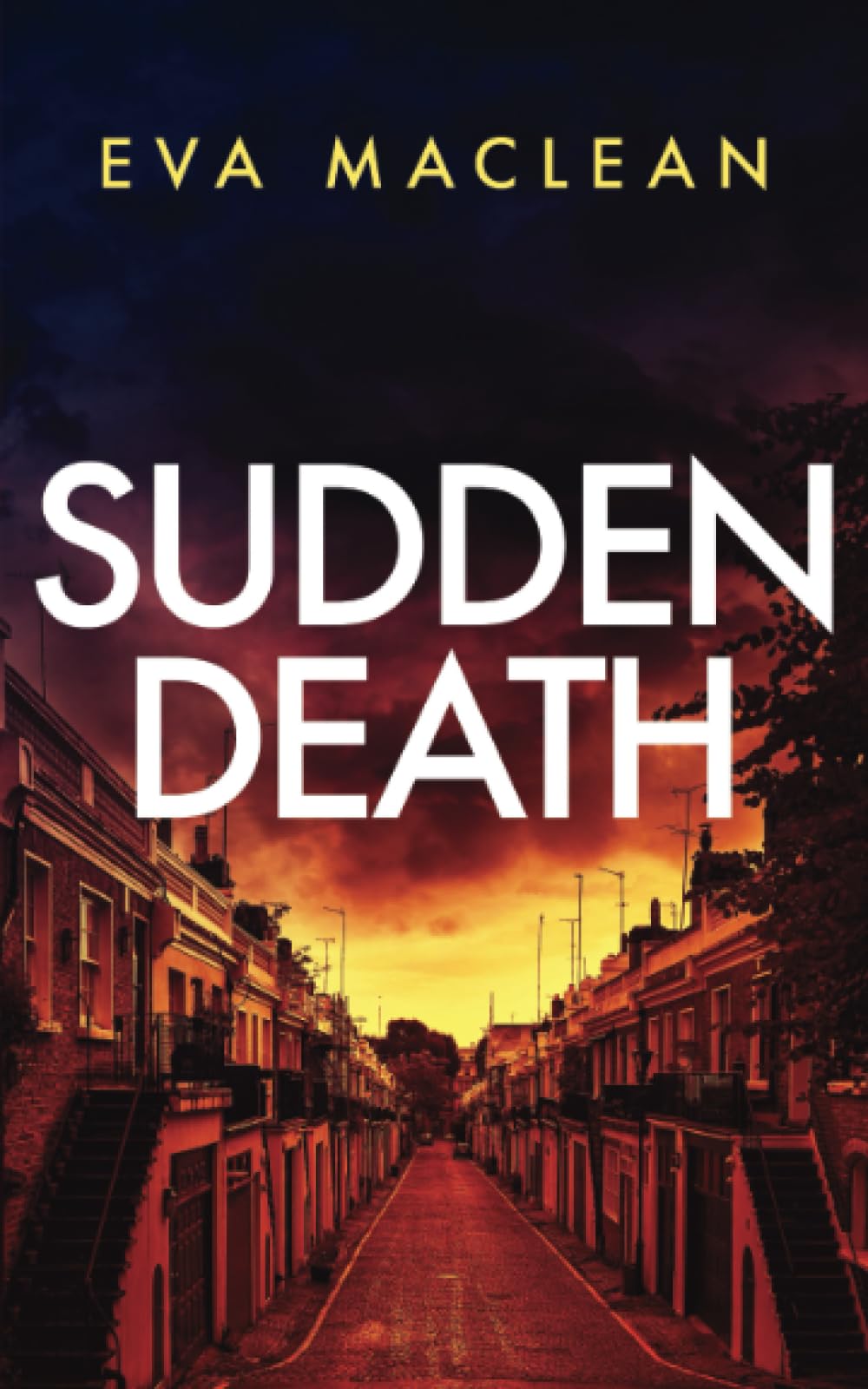 Sudden Death (Detective Miranda Murphy)