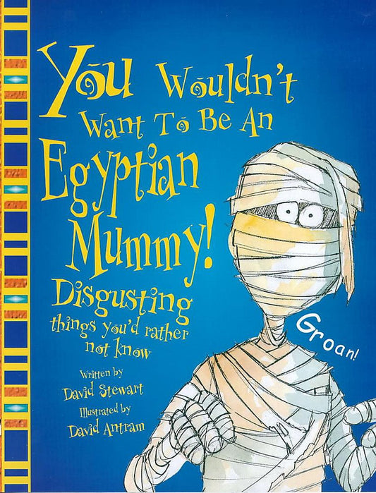 An Egyptian Mummy (You Wouldn't Want to be)