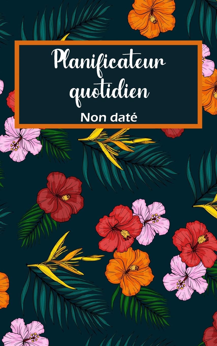 2022 - Carnet de rendez-vous quotidien et planificateur: Planificateur quotidien et mensuel, organisateur de calendrier 2022 (French Edition)