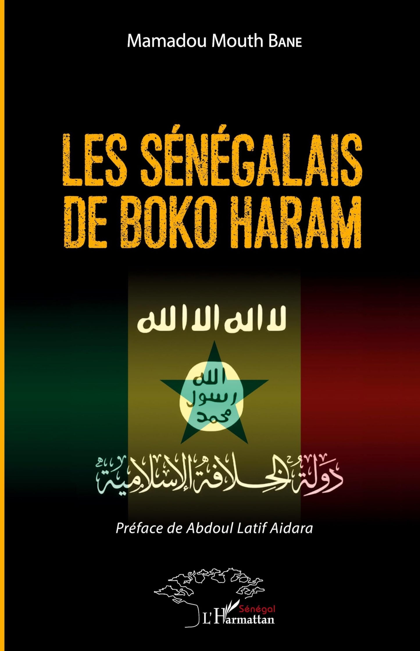 Les Sénégalais de Boko Haram (French Edition)