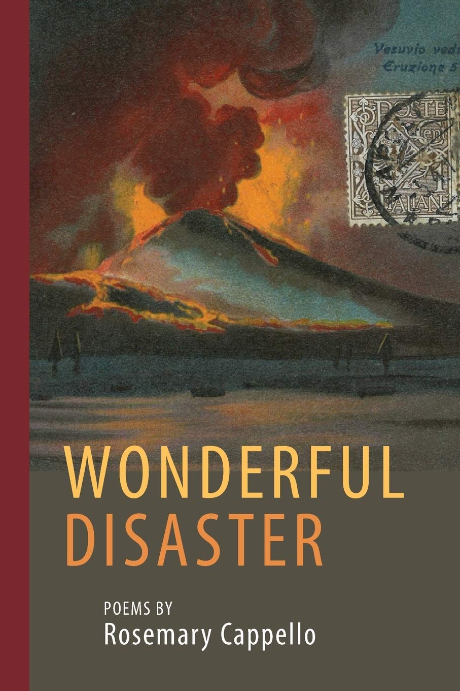Wonderful Disaster (VIA Folios)