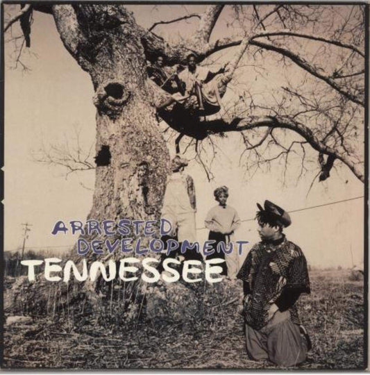 Arrested Development / Tennessee (Remixes)