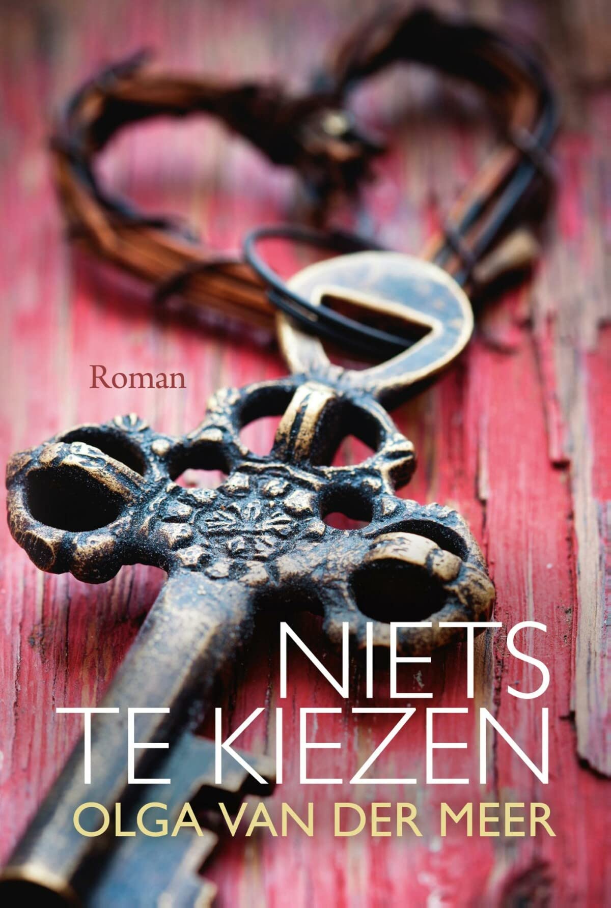Niets te kiezen (Dutch Edition)