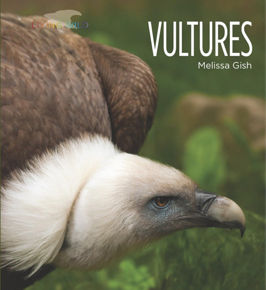 Living Wild: Vultures