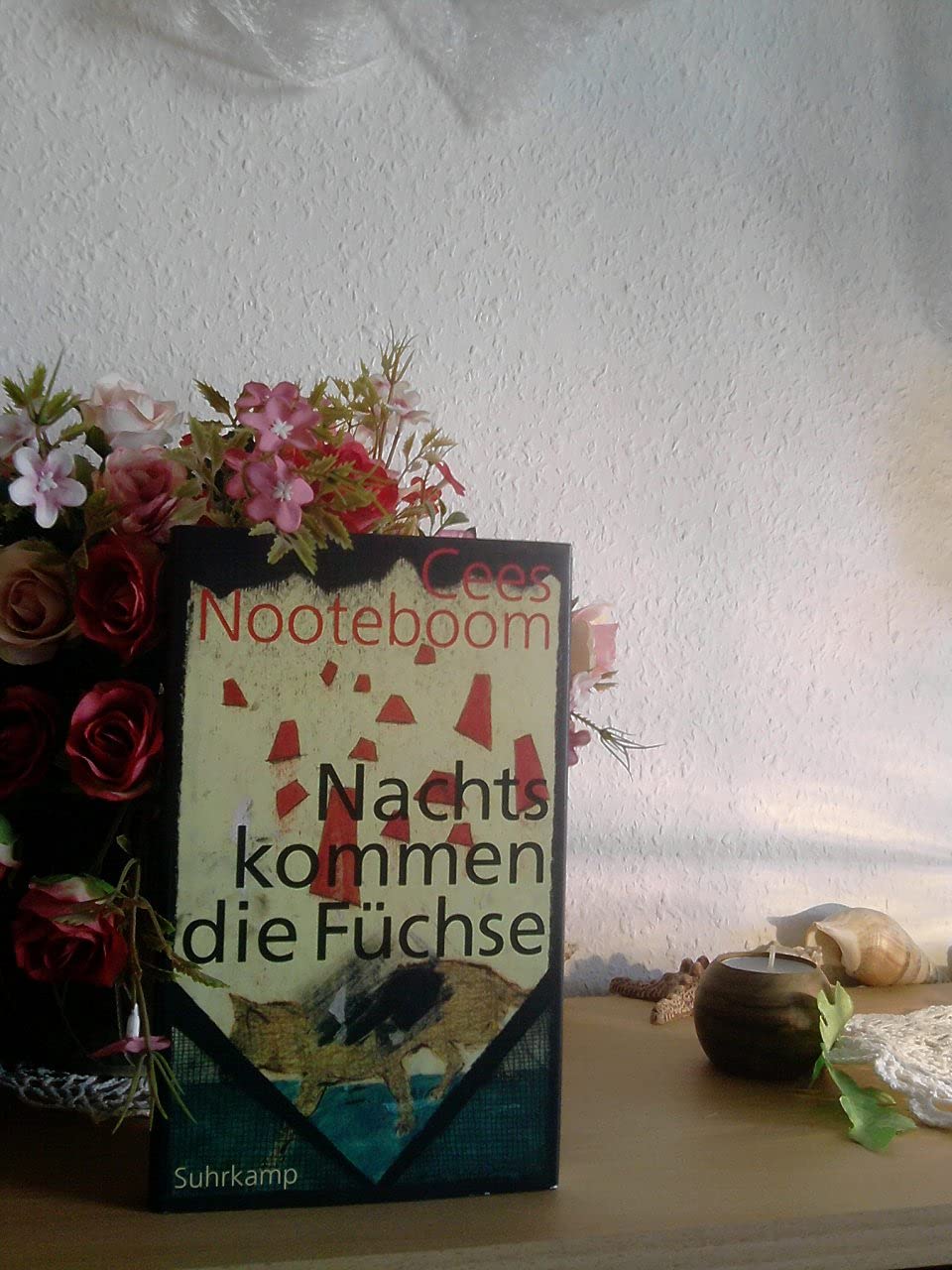 Nooteboom, C: Nachts kommen die Füchse