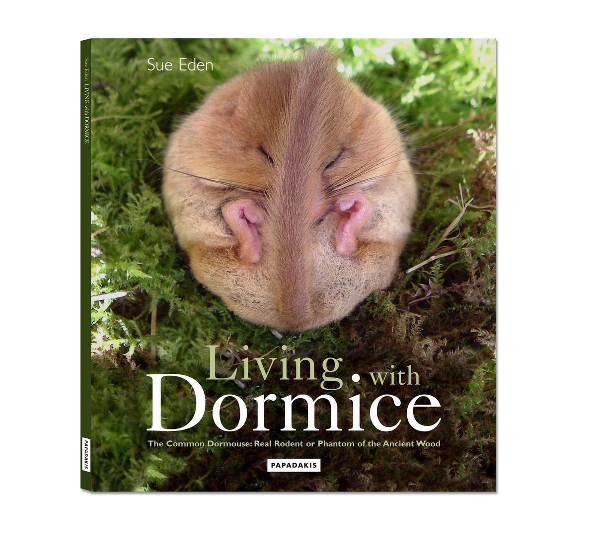 Living with Dormice