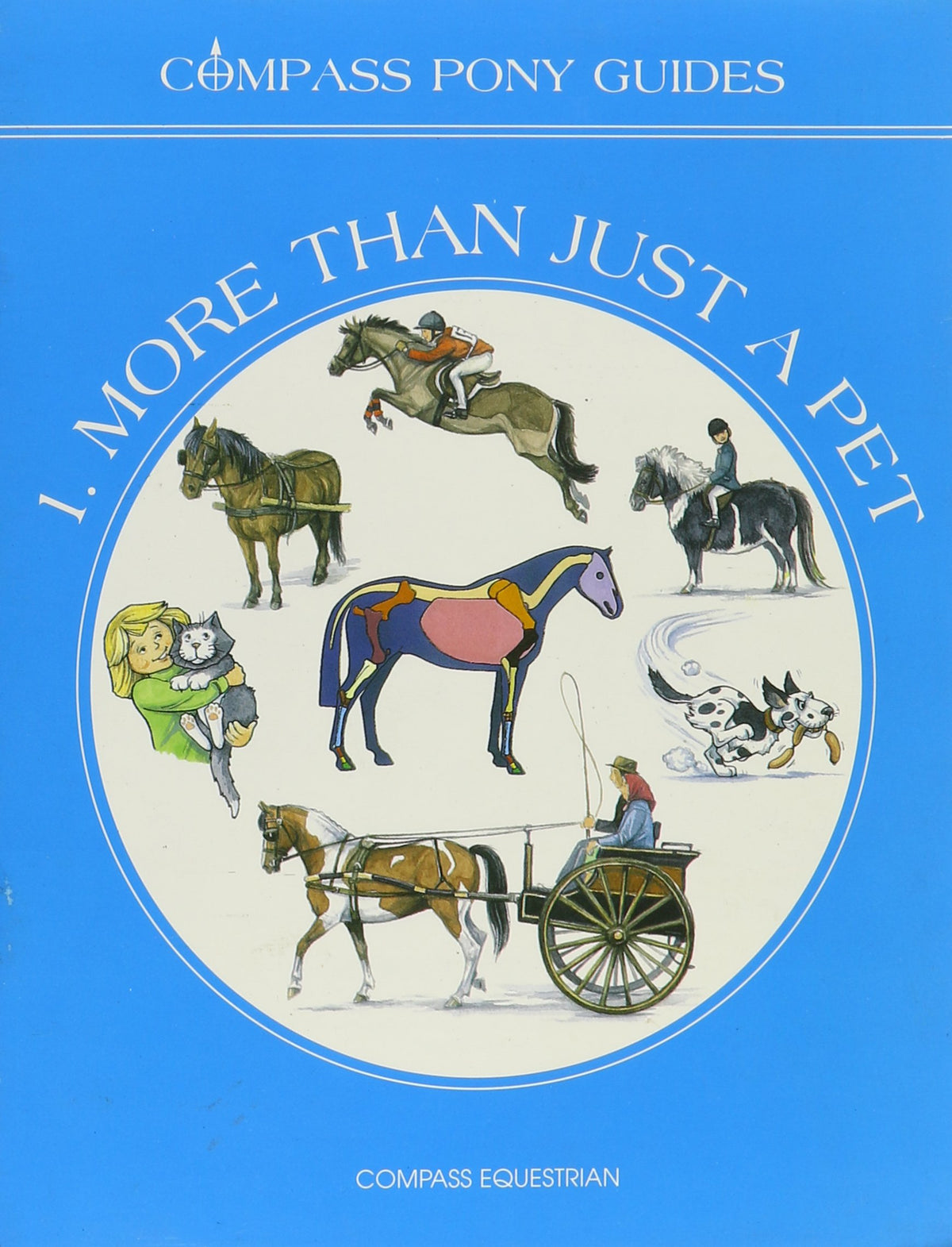 More Than Just a Pet (Compass Pony Guides)